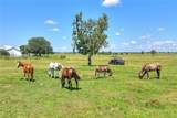  Limestone Heights Street - Photo 28
