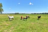  Limestone Heights Street - Photo 29