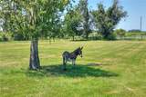  Limestone Heights Street - Photo 30