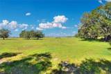  Limestone Heights Street - Photo 34