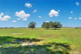  Limestone Heights Street - Photo 35