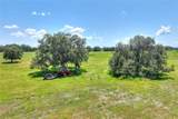  Limestone Heights Street - Photo 36
