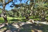  Limestone Heights Street - Photo 42