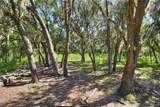  Limestone Heights Street - Photo 44