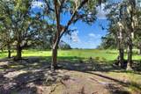  Limestone Heights Street - Photo 45