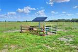  Limestone Heights Street - Photo 49