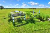  Limestone Heights Street - Photo 50