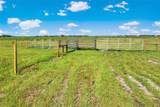  Limestone Heights Street - Photo 52