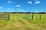  Limestone Heights Street - Photo 53