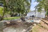 10208 Lola Street - Photo 29