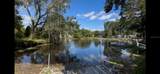 5701 Withlapopka Drive - Photo 15