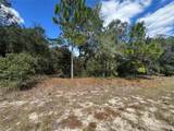 3341 Wilhelm Street - Photo 3