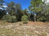3341 Wilhelm Street - Photo 4
