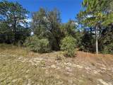 3341 Wilhelm Street - Photo 5