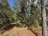 3341 Wilhelm Street - Photo 6