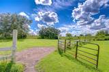 43650 County Road 54 - Photo 44