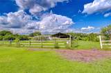 43650 County Road 54 - Photo 51