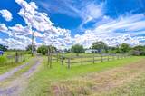 43650 County Road 54 - Photo 60