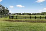 4801 Sleepy Hollow Lane - Photo 2
