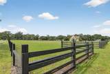 4801 Sleepy Hollow Lane - Photo 8