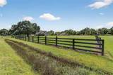 4801 Sleepy Hollow Lane - Photo 9