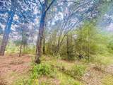 2203 Adams Street - Photo 1