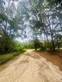 2203 Adams Street - Photo 7