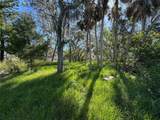 18905 Aripeka Road - Photo 10