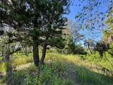 18905 Aripeka Road - Photo 12