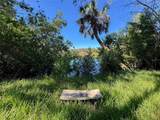 18905 Aripeka Road - Photo 6
