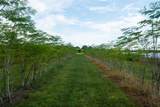  Blanton Acres Road - Photo 18