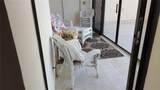 1270 Gulf Boulevard - Photo 9