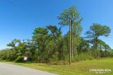 12036 Limpkin Rd - Photo 2