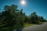 12036 Limpkin Rd - Photo 3