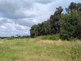 xxxx Old Bradenton Road - Photo 6