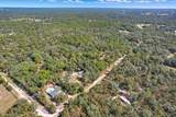 3777 Cracker Lane - Photo 12
