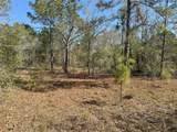 0 Lake Buffum Road - Photo 9