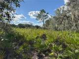 0 Alturas Babson Park Cut Off Road - Photo 18