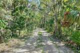  Pine Island Drive - Photo 10