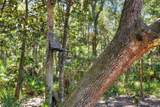  Pine Island Drive - Photo 18