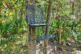  Pine Island Drive - Photo 20