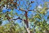  Pine Island Drive - Photo 23