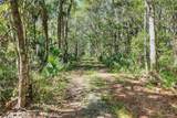  Pine Island Drive - Photo 9
