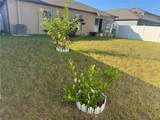 253 Rain Lily Avenue - Photo 26