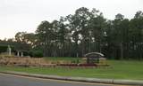 7895 Sarazen Drive - Photo 47