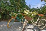 503 Poinsettia Road - Photo 43
