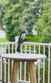 3012 Grand View Avenue - Photo 42
