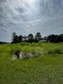 13142 Mottled Duck Rd Road - Photo 2