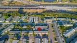 9905 Dahlia Street - Photo 51