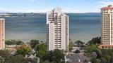 4141 Bayshore Boulevard - Photo 15